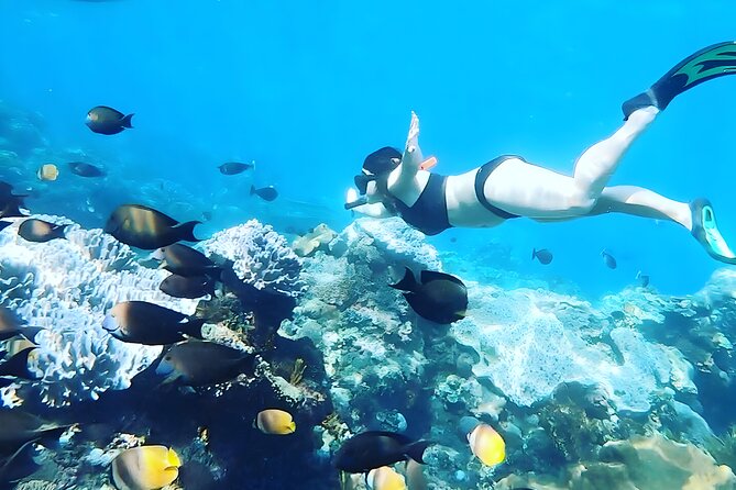 Nusa Penida Island Beach Tour With Snorkeling - Departure From Bali Island - The day begins early in Bali