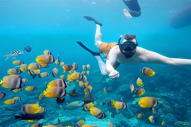 Nusa Penida Island Beach Tour With Snorkeling - Departure From Bali Island - Crystal Bay offers coral and turtle sightings