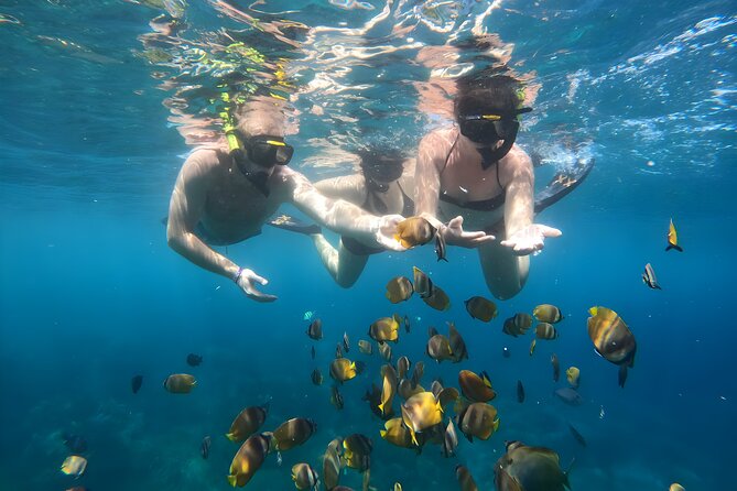 Nusa Penida Island Beach Tours with Snorkeling From Bali - What private really means here
