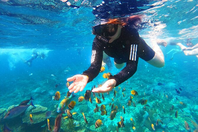 Nusa Penida Island Tour Package With Snorkeling - Four snorkeling points around Nusa Penida