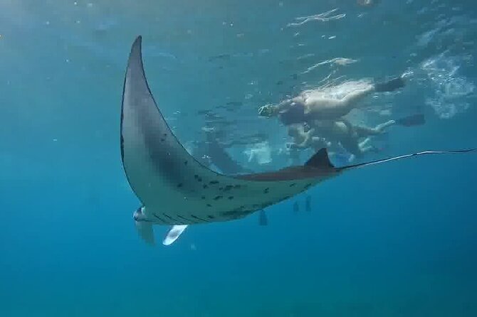 Nusa Penida Land Tour and 4 Points Snorkeling with Manta - From Bali to Nusa Penida by fast boat