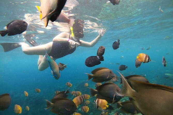 Nusa Penida Land Tour and 4 Points Snorkeling with Manta - Returning to Bali by 6:00 pm
