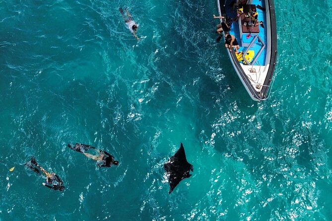 Nusa Penida Private Snorkeling and West Tour Start from Bali - Why the private setup matters on Nusa Penida