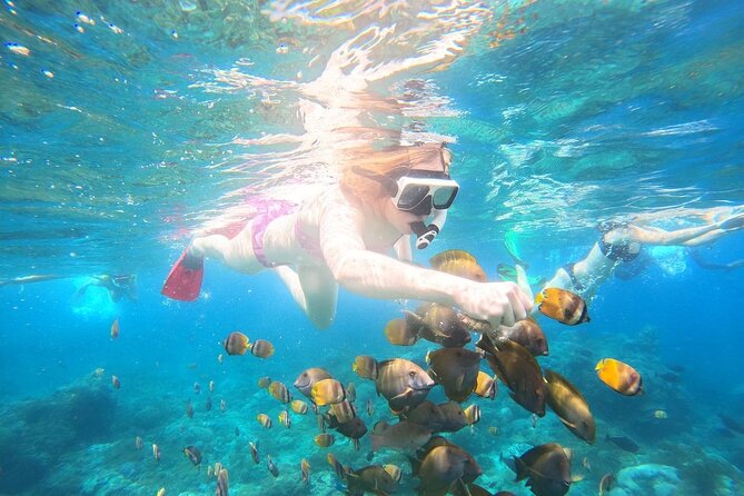 Nusa Penida Private Snorkeling and West Tour Start from Bali - Kelingking Beach and the famous cliff shape