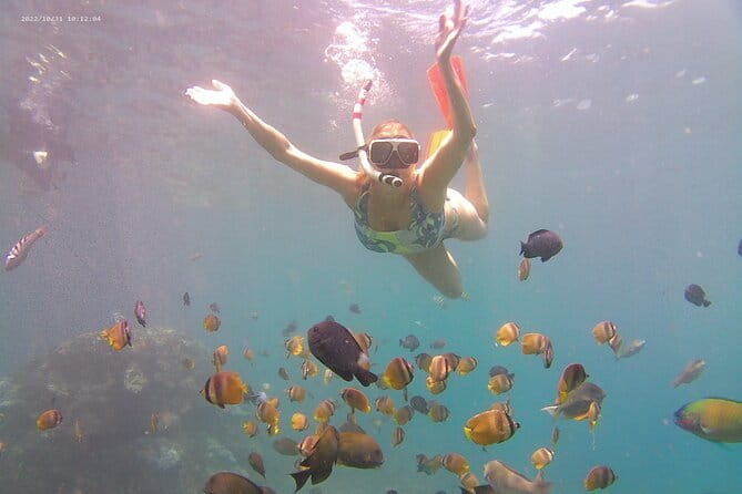 Nusa Penida Private Snorkeling Tour with West Island Trip - Starting at Sanur Harbour and crossing to Nusa Penida