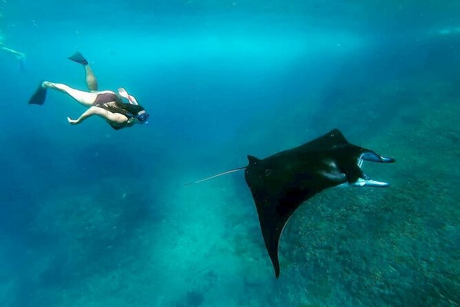 Nusa Penida Snorkeling 3 Point with Manta Bay & Land Tour - What the $51.57 price really buys