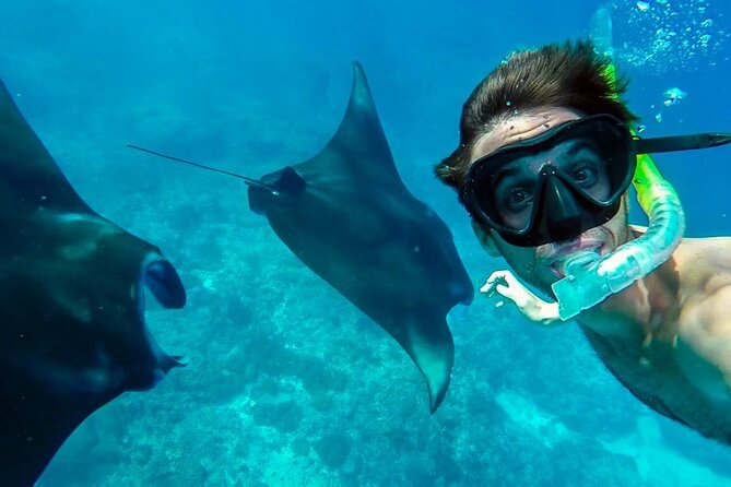 Nusa Penida Snorkeling 3 Point with Manta Bay & Land Tour - Manta Bay, Wall Point, Gamat Bay, and Crystal Bay