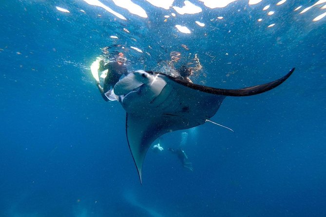 Nusa Penida Snorkeling Adventure (Private & All-Inclusive) - Local lunch after the water