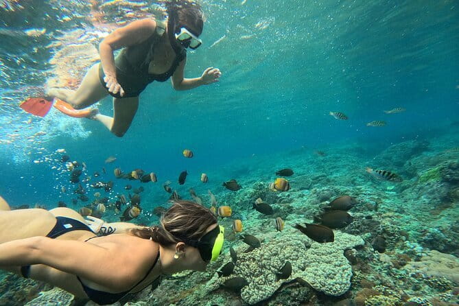 Nusa Penida : Snorkeling Trip Manta Point, Gamat Bay and Wall Bay - Why the manta search is the morning’s big draw