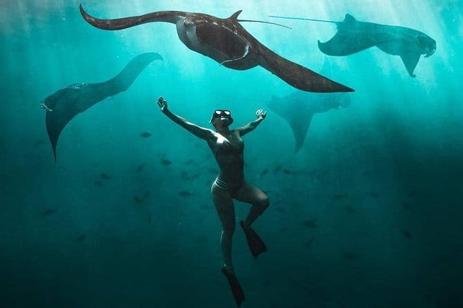 Nusa Penida : Snorkeling Trip Manta Point, Gamat Bay and Wall Bay - Equipment, guide, and GoPro coverage