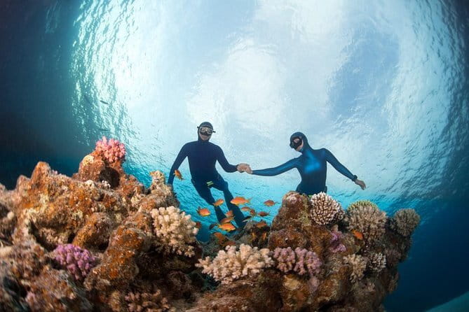 Nusa Penida : Snorkeling Trip Manta Point, Gamat Bay and Wall Bay - Who should choose this outing