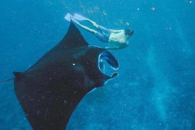 Nusa Penida Tour with Iconic Photography in Kelingking - What the $99 price includes