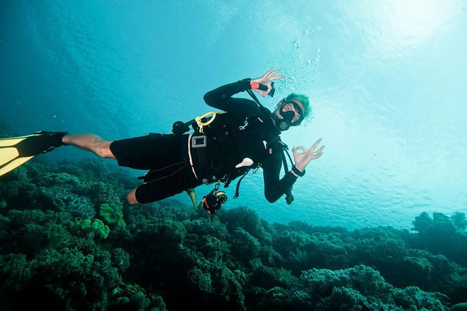 Nusa Penida Two Dives Trip for Certified Divers - Starting at Pure Dive Resort in Ped at 8:00 am