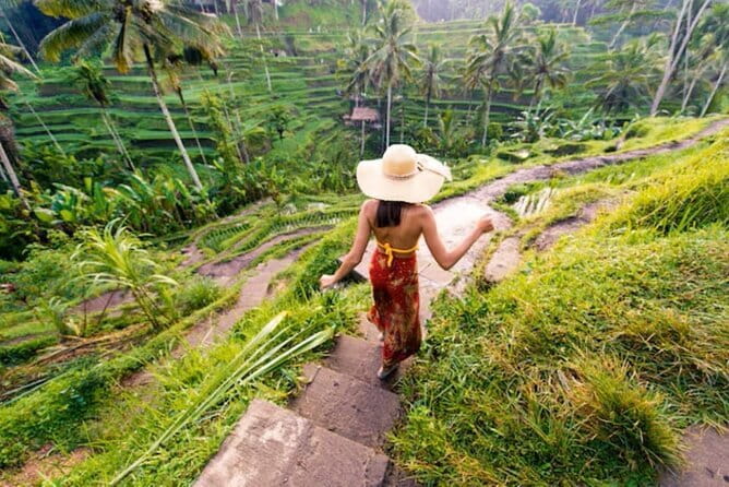 One Day Jatiluwih UNESCO, Ulun Danu Beratan, Banyumala Waterfall - The private car changes the value
