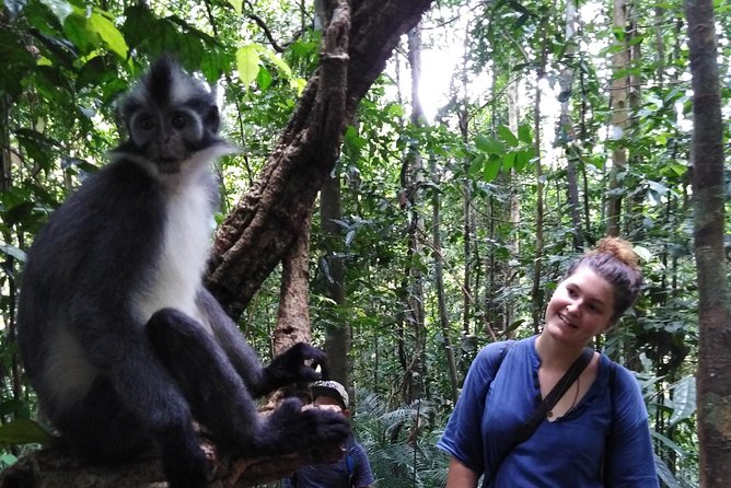 ONE DAY JUNGLE TREKKING 6-7 hours (see orang utan) + RAFTING in BUKIT LAWANG - Traditional rafting and tubing on the return