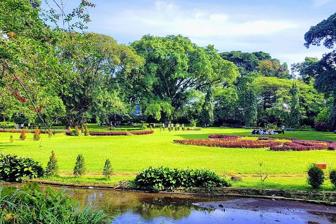One Day Trip : Bogor Highland Waterfall Tour With Lunch - Why this Bogor day trip works