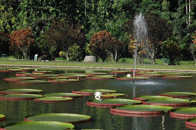 One Day Trip : Bogor Highland Waterfall Tour With Lunch - Who should book this experience?