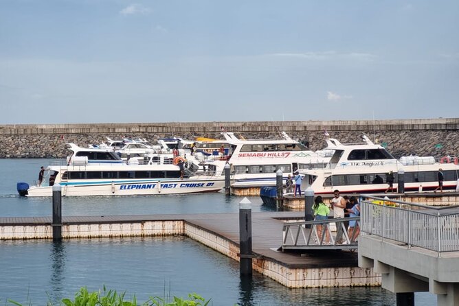 One-way Ticket Fast Boat from Sanur Bali or Nusa Penida - The cancellation rule is friendly, but watch the clock