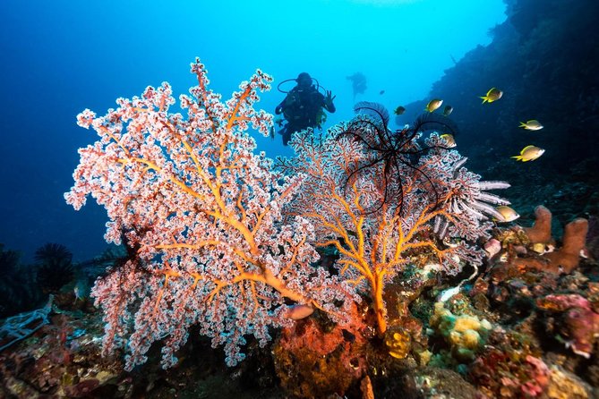 Open Water Course in Tulamben - Get Certified in Bali - Tulamben Beach and the training value of shallow water