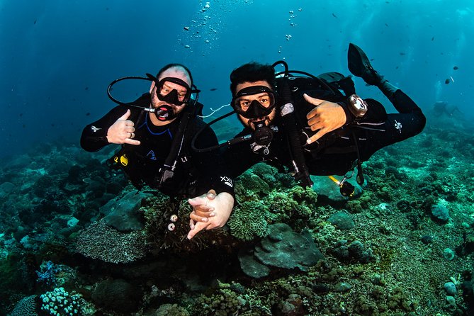 Open Water Course in Tulamben - Get Certified in Bali - The private format and instructor support