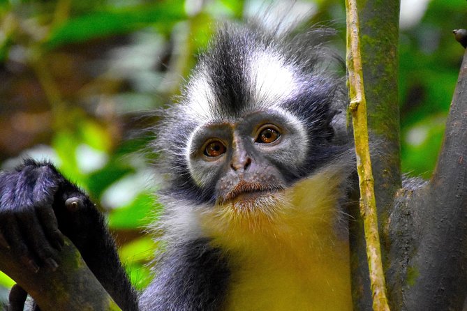 ORANGUTAN TREK (2D/1N) by EcoTravel Bukit Lawang - The riverside camp around 3:00 pm
