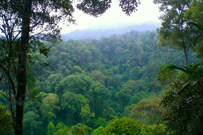 ORANGUTAN TREK (2D/1N) by EcoTravel Bukit Lawang - Waterfall time on the second morning