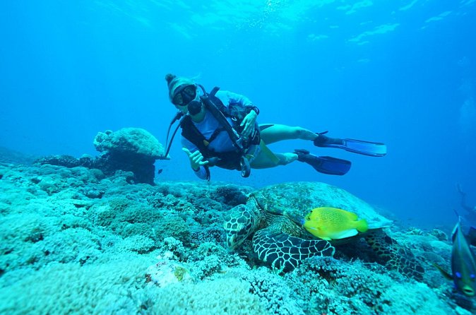 PADI Open water Course in Lembongan - Get certified & dive anywhere in the world - Who should take this course