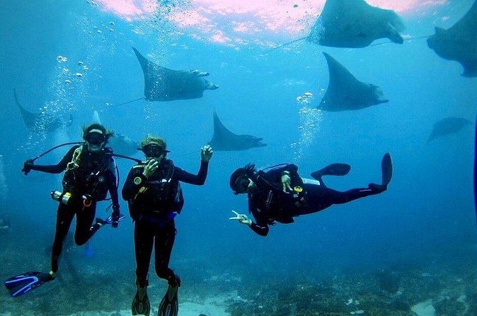 PADI Open water Course in Lembongan - Get certified & dive anywhere in the world - Booking, weather, and cancellation details