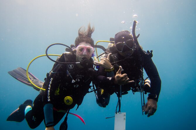 PADI Open water Course in Lembongan - Get certified & dive anywhere in the world - Days two and three: four sessions in the ocean