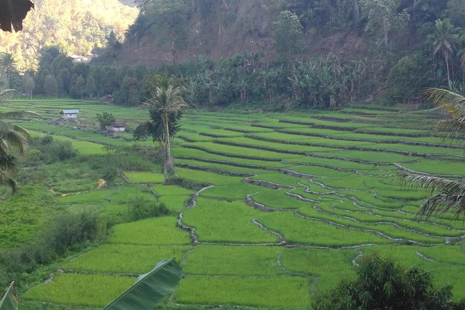 Pauls Flores Tour Labuan Bajo to Ende Flores Land Tour inland by Car 6 Days - Paul’s role makes a practical difference