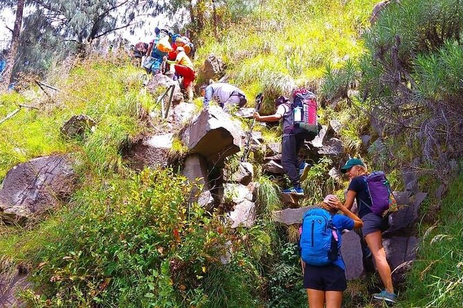Popular Rinjani Trekking Tour Service To Summit For 2 Days Via Sembalun Trail - Who will like this trek most