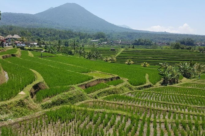 Private 4-Day Tours - Best Bali Tours Package - Best of Bali Highlights - Day three: Lempuyang, Tirta Gangga, and east Bali