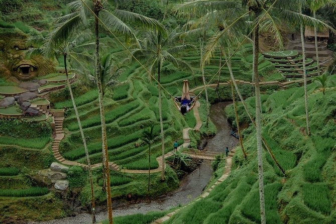 Private 4-Day Tours - Best Bali Tours Package - Best of Bali Highlights - Who will get the most from this tour?