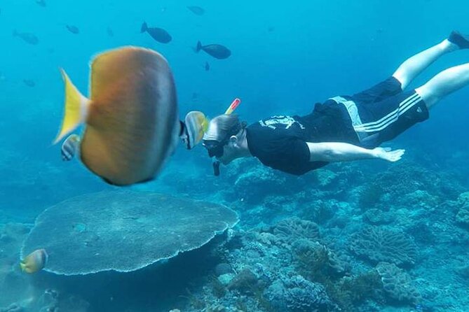 Private All Inclusive Nusa Penida Snorkeling and Tour - Leaving Kuta early for Sanur Harbour