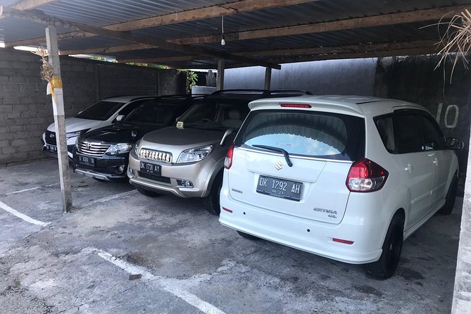 Private Bali Car Charter with Driver up to 6 People - Photo Museums for a More Playful Day
