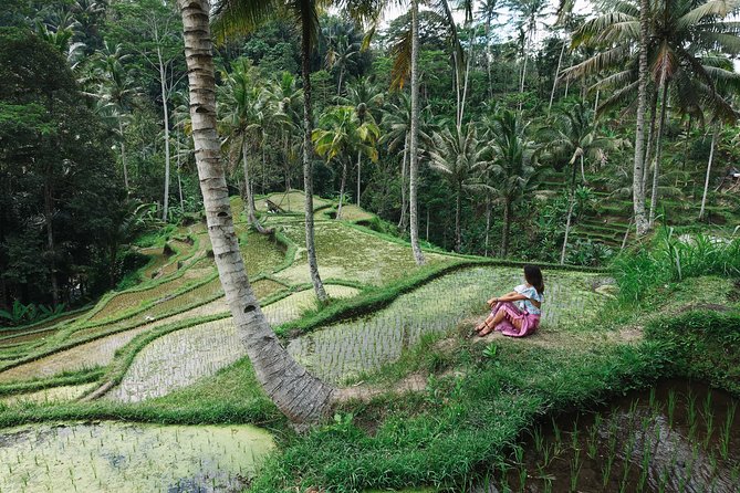 Private Bali Car Charter with Driver up to 6 People - Ubud and East Bali: Dance, Waterfall, Cave, and Rice Fields