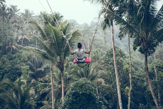Private Bali Car Charter with Driver up to 6 People - Pickup Areas Around Ubud and South Bali