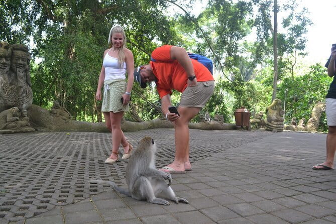 Private Bali Customized Tours - Batuan Temple and Tegenungan Waterfall