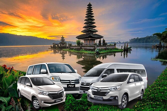 Private Bali Driver & Car Charter – Flexible Full Day Custom Tour - Ubud temples, macaques, and rice terraces