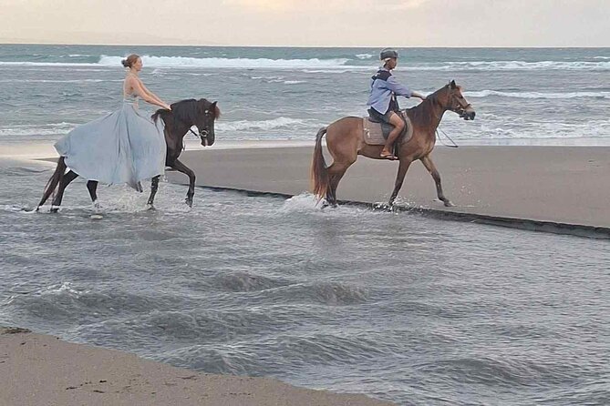 Private Bali Horse riding at saba beach - Horse welfare should be part of your decision