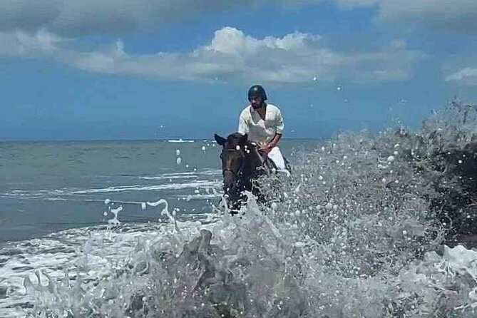 Private Bali Horse riding at saba beach - Who should book this ride