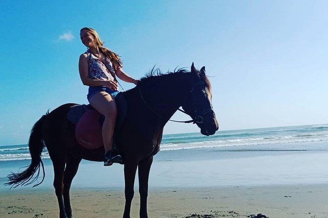 Private Bali Horse riding at saba beach - My call: book it with a few checks