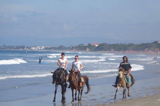 Private Bali Horse Riding In Seminyak Beach - Price and value at $42.99
