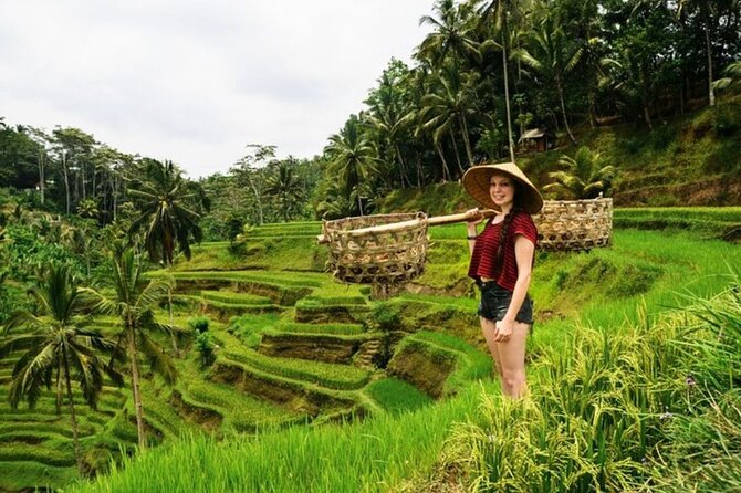 Private Bali Tour - All Inclusive - Tegalalang Rice Terrace: beautiful views with a photo-stop feel