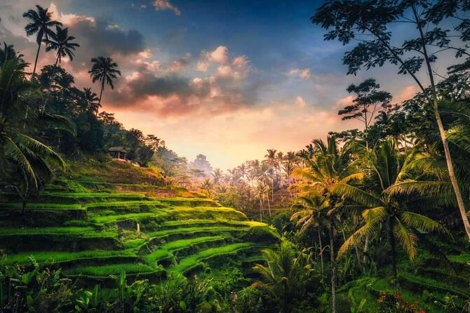 Private Bali Tour with Lisensed Bali Driver - Why the private format matters