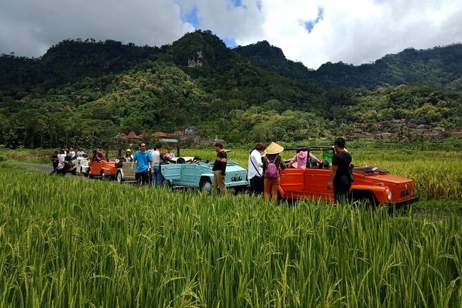 Private Borobudur Village Trip By Volkswagen Safari - Making pottery in Nglipoh village