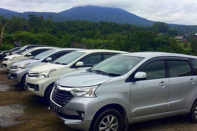 Private Car Charter - Explore Best of Bali - Tegenungan Waterfall near Ubud