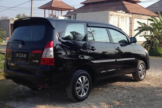Private Car Charter in Bali with an English-speaking Driver - The car, group size, and comfort