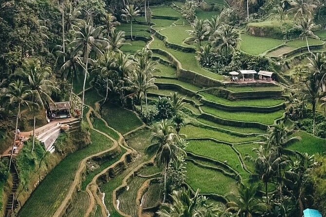 Private Customized Tour with Local Guide - Who will get the most from this tour