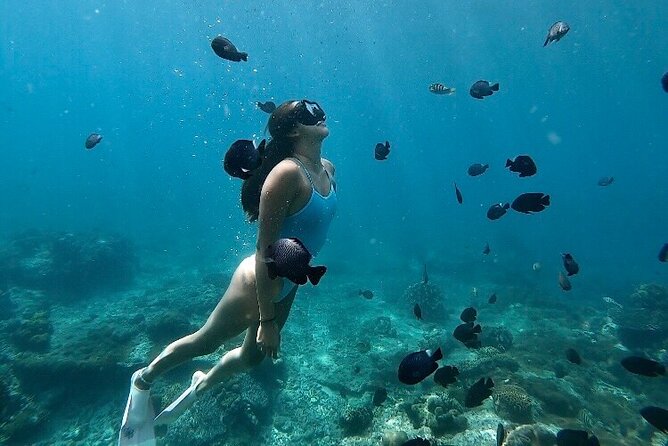Private Customized Tour with Local Guide - What $52 really buys you